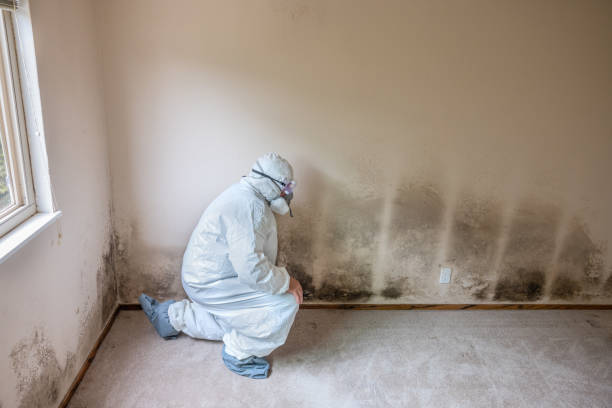 Water Damage Restoration in San Lorenzo, CA
